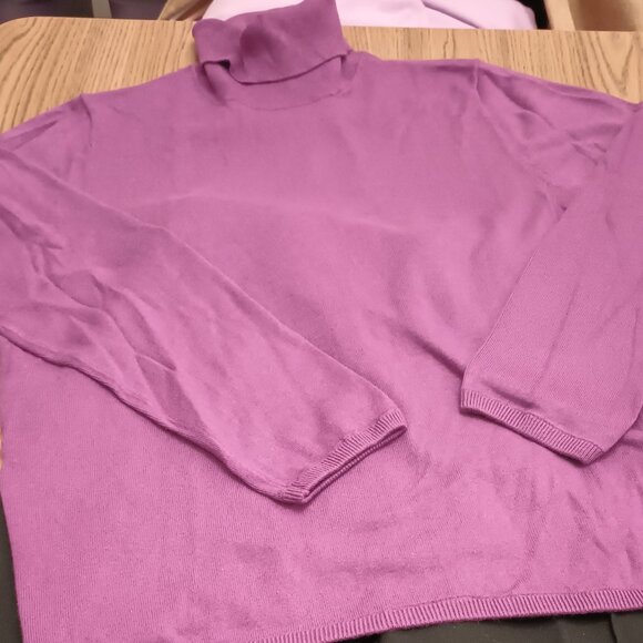 Ann Taylor Sweaters - Ann Taylor Size XXL Pink Turtleneck Sweater (NWT)